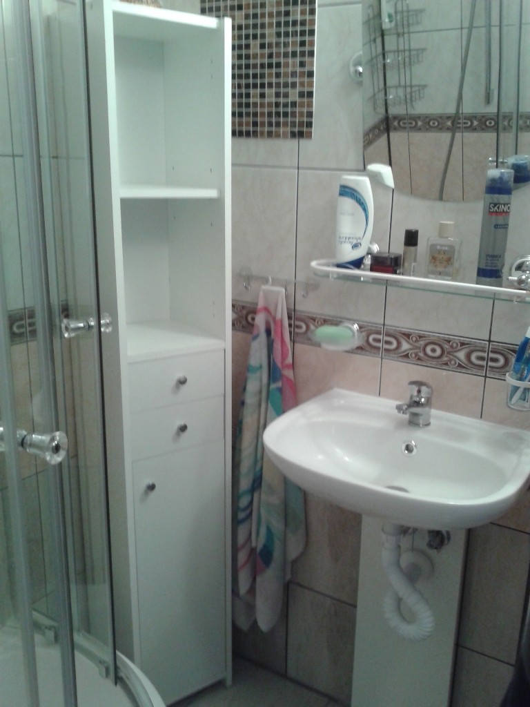 Mieszkanie do wynajęcia - 3 pokojowe, blisko centrum, AE, UŚ- od zaraz! - Widok 3