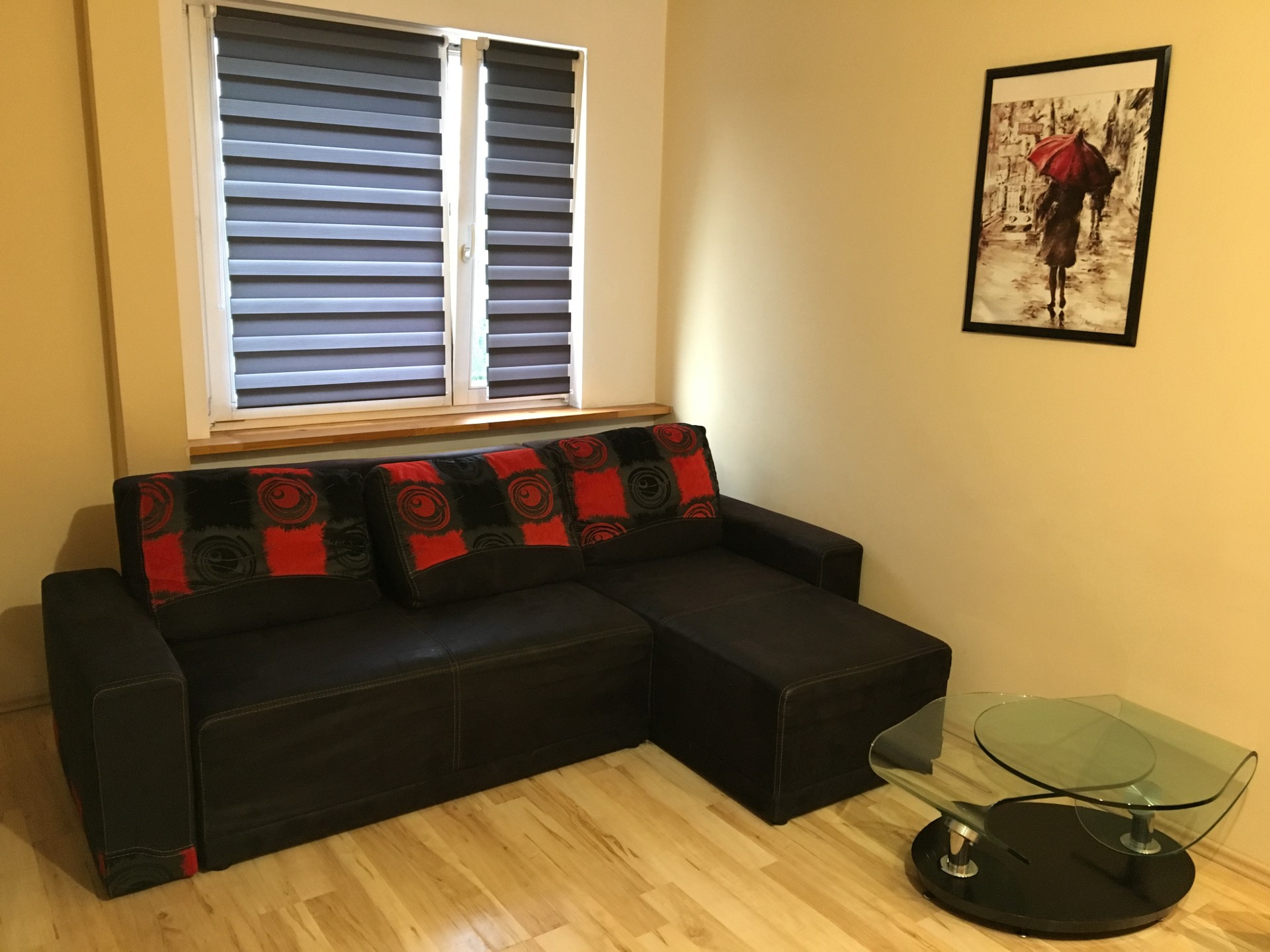 Mieszkanie do wynajęcia - 3 pokojowe, blisko centrum, AE, UŚ- od zaraz! - Widok 5