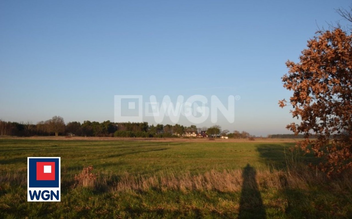 Działka na sprzedaż, 3000 m², Smołdzino Smołdzino - Widok 4