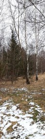 Działka na skraju lasu-4