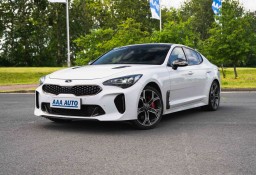 Kia Stinger , Serwis ASO, Automat, VAT 23%, Skóra, Navi, Klimatronic,
