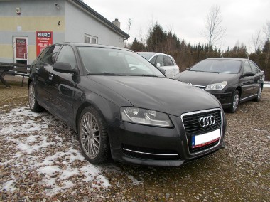 Audi A3 II (8P) 1,6TDI 105KM!!!-1