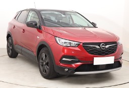 Opel Inny