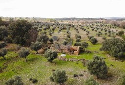 Działka inna Aldeia Do Bispo, Águas E Aldeia De João Pires