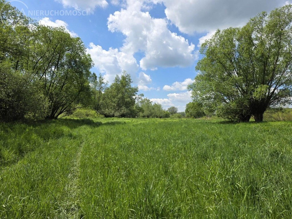 Lubaszowa – działka 29 arów w sąsiedztwie rzeki Biała!!! - Widok 2