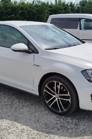 2.0 GTD 184 KM. Biała Strzała.-2