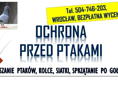 Odstraszanie gołębi, Wrocław, tel. 504-746-203. płoszenie ptaków, cennik., kolce-1