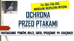 Odstraszanie gołębi, Wrocław, tel. 504-746-203. płoszenie ptaków, cennik., kolce