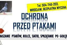 Odstraszanie gołębi, Wrocław, tel. 504-746-203. płoszenie ptaków, cennik., kolce