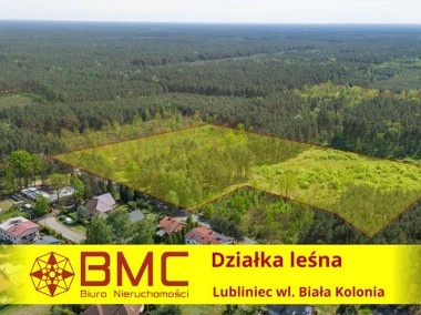 Działka Leśna 33003 m2 Lubliniec Biała Kolonia-1