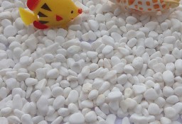 Otoczaki greckie do akwarium biały kolor 1-2 cm neutralne