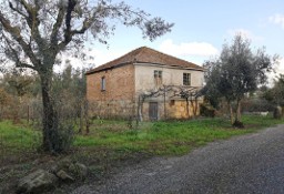 Dom Viseu, Tondela, Canas De Santa Maria