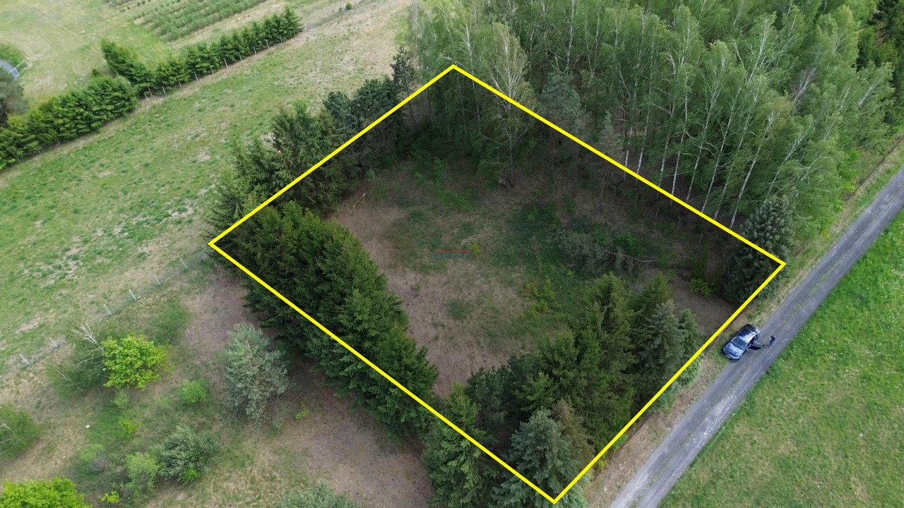 Działka na sprzedaż, 2000 m², Prażmów Wągrodno - Widok 2