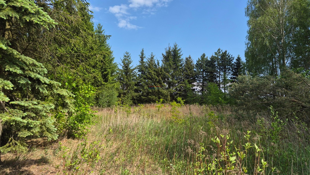 Działka na sprzedaż, 2000 m², Prażmów Wągrodno - Widok 3
