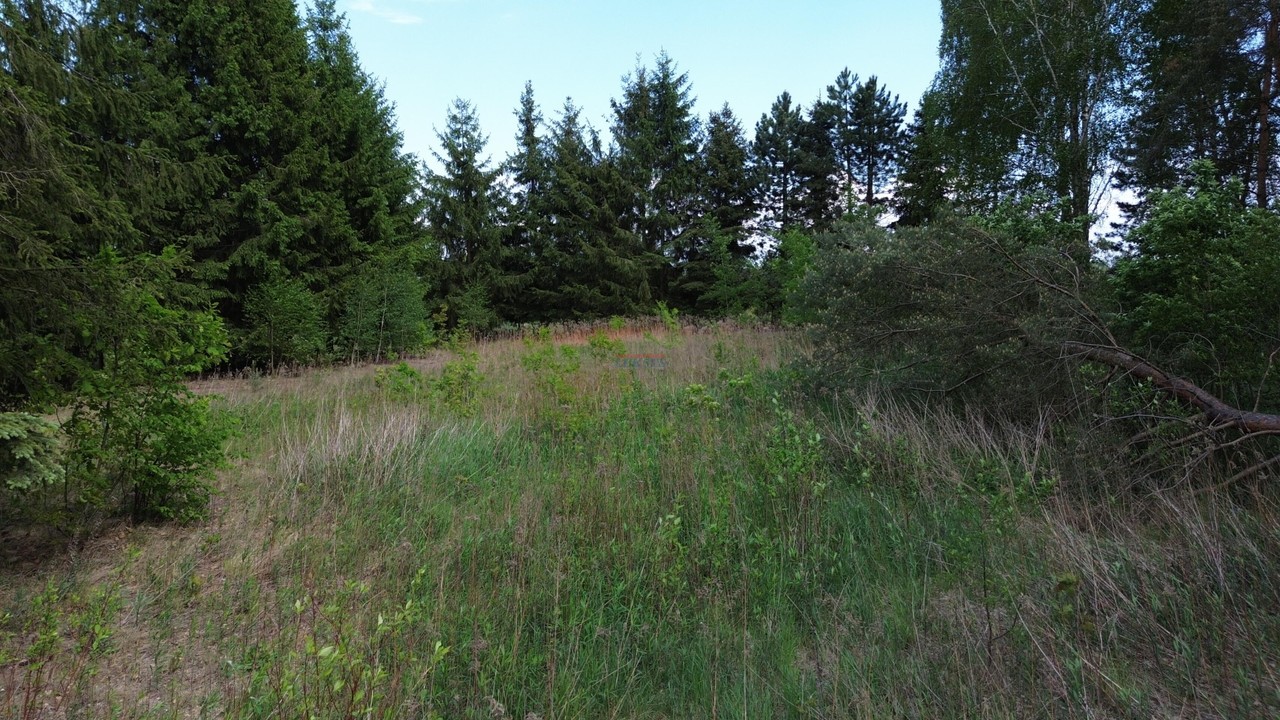 Działka na sprzedaż, 2000 m², Prażmów Wągrodno - Widok 4
