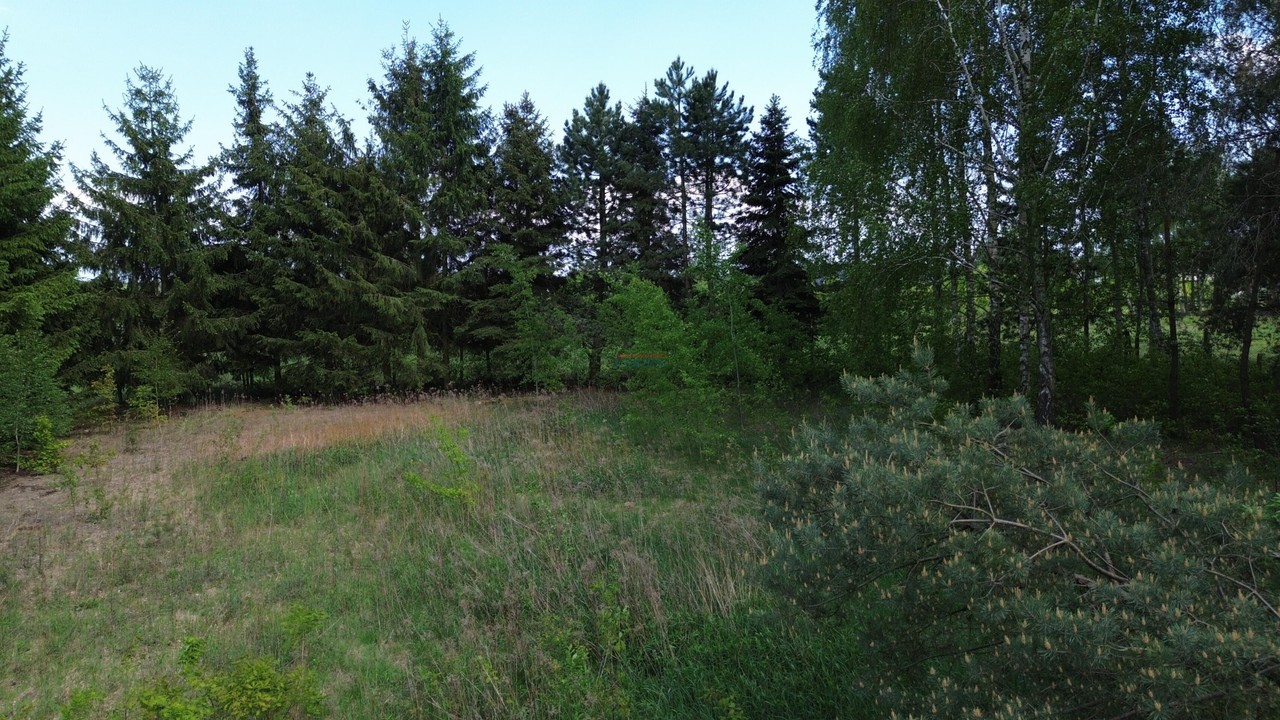 Działka na sprzedaż, 2000 m², Prażmów Wągrodno - Widok 5