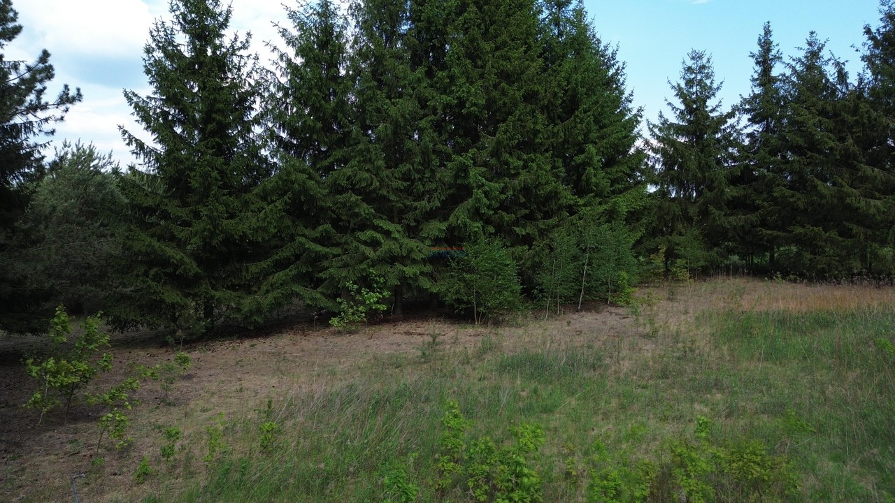 Działka na sprzedaż, 2000 m², Prażmów Wągrodno - Widok 6