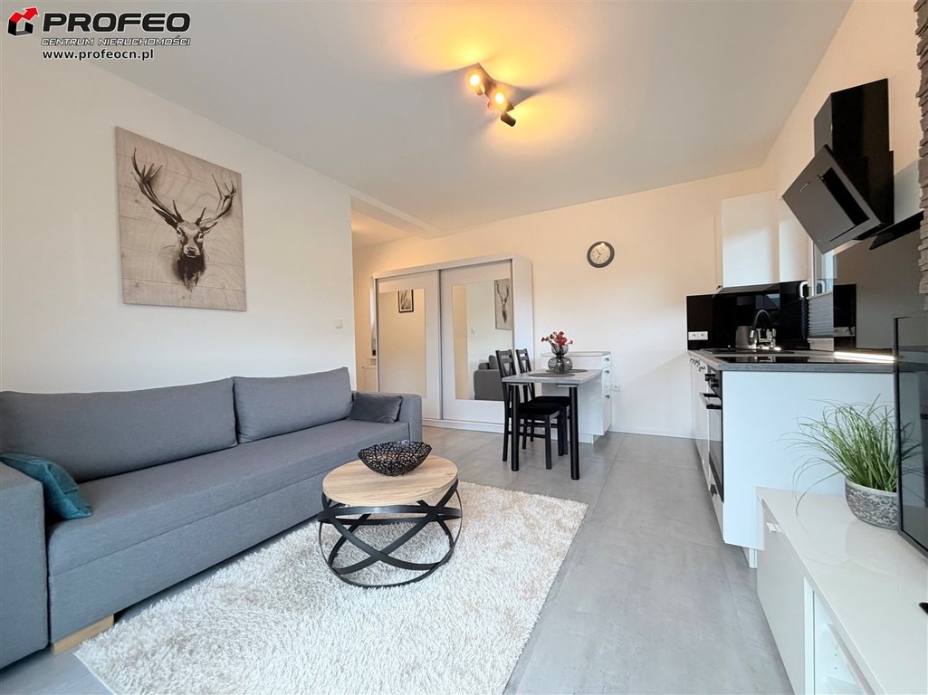 Mieszkanie do wynajęcia, 41 m², 2 pokoje Ustroń - Widok 2