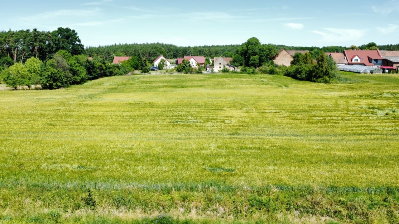 Atrakcyjna ziemia rolna i działka pod zabudowę! - Widok 4