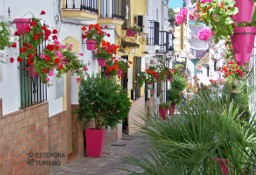 Dom Málaga, Estepona