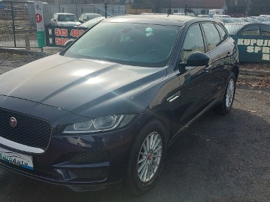 I Wł.KLimatr.Navi Tempo Kam.Cof.Alu Panorama.Radar.Zadbany-1