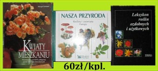 Kwiaty w mieszkaniu/Nasza Przyroda/Rośliny ozdobne/ogród/działka/przyroda