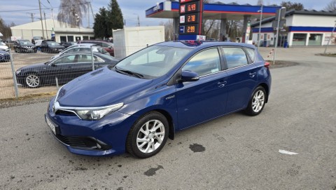 Salon Polska , 1 , 1 wlasciciel