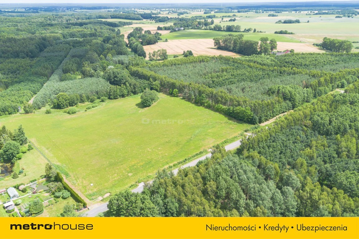 Działki budowlane, blisko miasta S11 JEZIORO, LAS - Widok 3