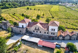 Dom Viana Do Castelo