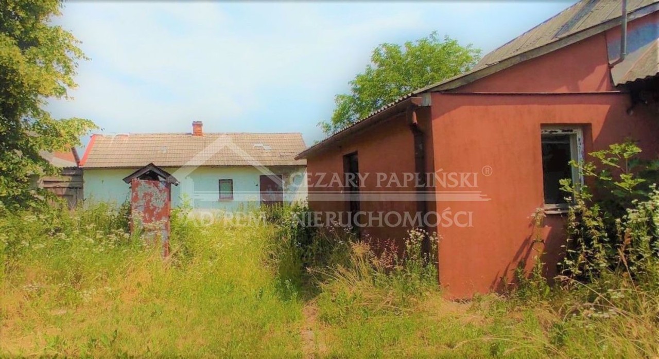 Kiełczewice, siedlisko, 7000 mkw - Widok 2