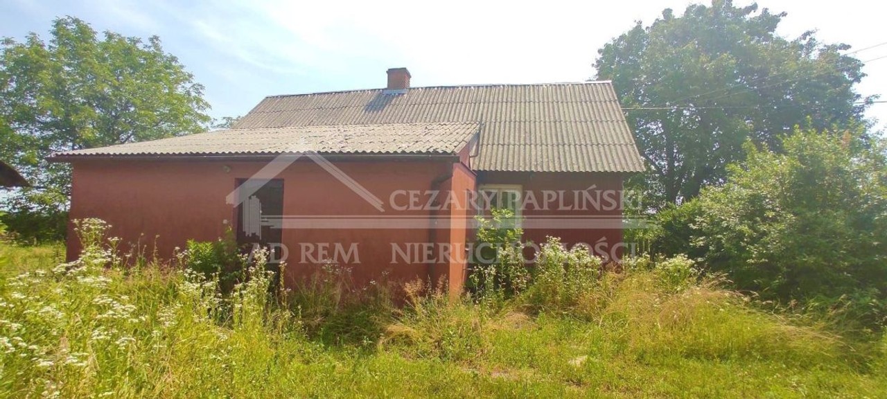 Kiełczewice, siedlisko, 7000 mkw - Widok 3