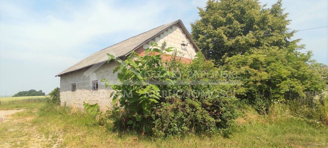 Kiełczewice, siedlisko, 7000 mkw - Widok 4