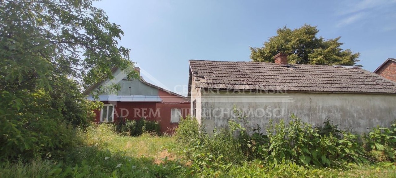 Kiełczewice, siedlisko, 7000 mkw - Widok 5