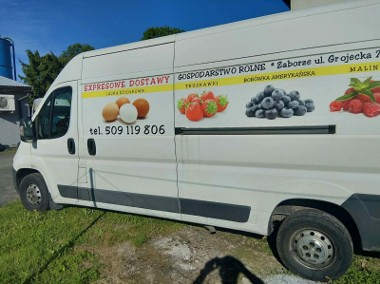 zadbany i doinwestowany-1