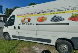 Peugeot Boxer zadbany i doinwestowany
