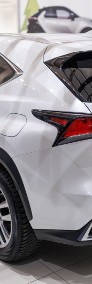 Lexus NX NX 14- 300h Optimum AWD-3