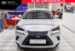 Lexus NX NX 14- 300h Optimum AWD