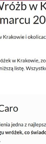 Wróżka Elżbieta Caro - I miejsce w rankingu wróżek w Krakowie-3