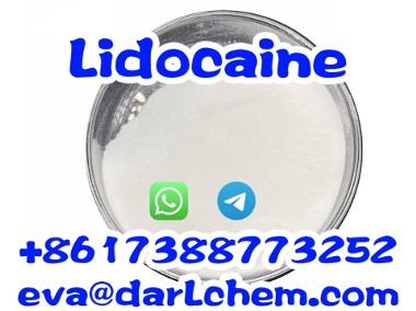 Pure Lidocaine 99% CAS 137-58-6 Wholesale Factory Supply Lidocaine 99%-1