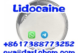 Pure Lidocaine 99% CAS 137-58-6 Wholesale Factory Supply Lidocaine 99%