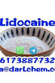 Pure Lidocaine 99% CAS 137-58-6 Wholesale Factory Supply Lidocaine 99%-2