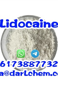 Pure Lidocaine 99% CAS 137-58-6 Wholesale Factory Supply Lidocaine 99%-3