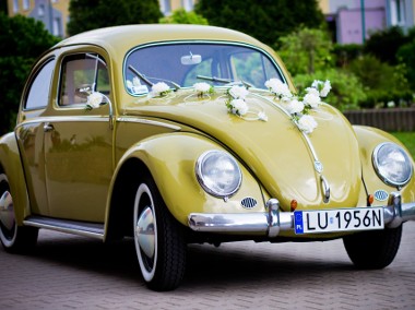 1956 OVAL 1200-1