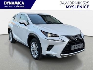 Lexus NX NX 14- 300 2.0T 238KM automat AWD 2019 r., salon PL, HAK, komplet kół-1