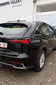 Lexus NX NX 14--2