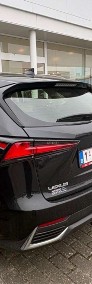 Lexus NX NX 14--4