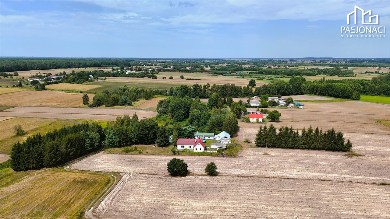 Urokliwe siedlisko w Białce Kolonii gm. Milejów