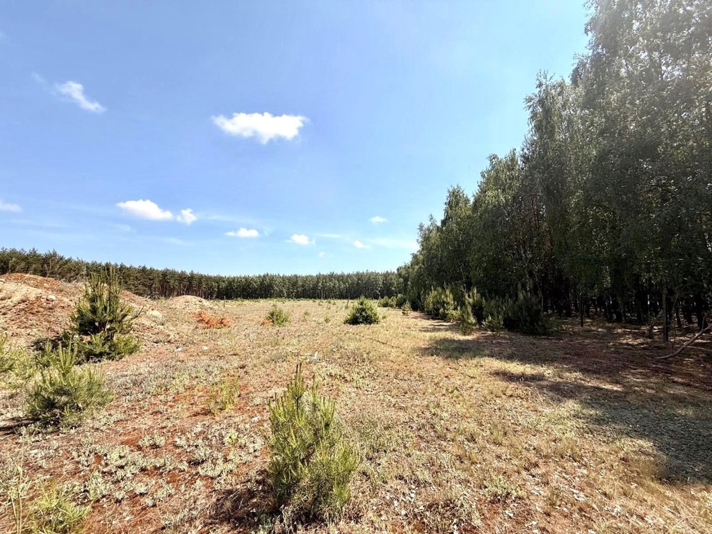 Działka na sprzedaż, 1907 m², Osiek Mały Lipiny - Widok 2