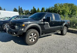 Ford F-Seria XIII