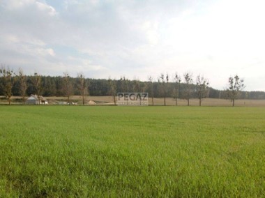 Działka rolna na skraju zabudowy w Milczu k. Chodzieży-1